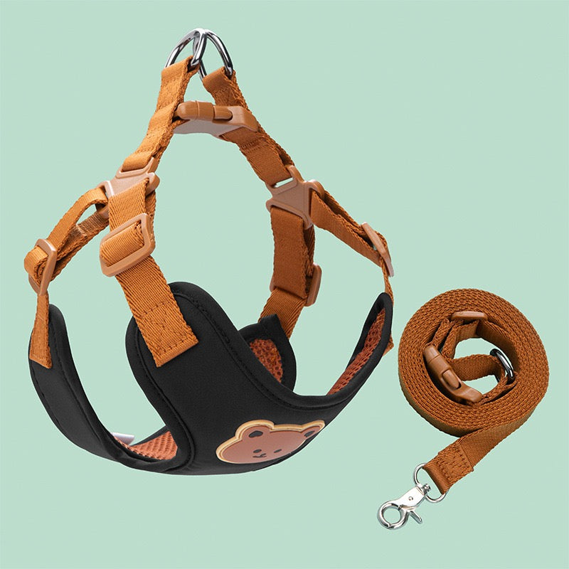 Puppy Harness with Leash Set, Dog Harness for Small Dogs No Pull, Dog Leash for Puupy, Step in Harness for Extra Small Dogs