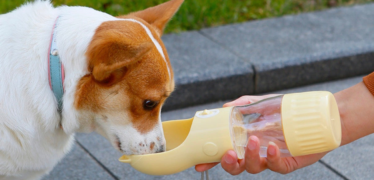 Leak-Proof Dog Travel Water Bottle – Portable 2-in-1 Pet Hydration Dispenser for Hiking & Travel