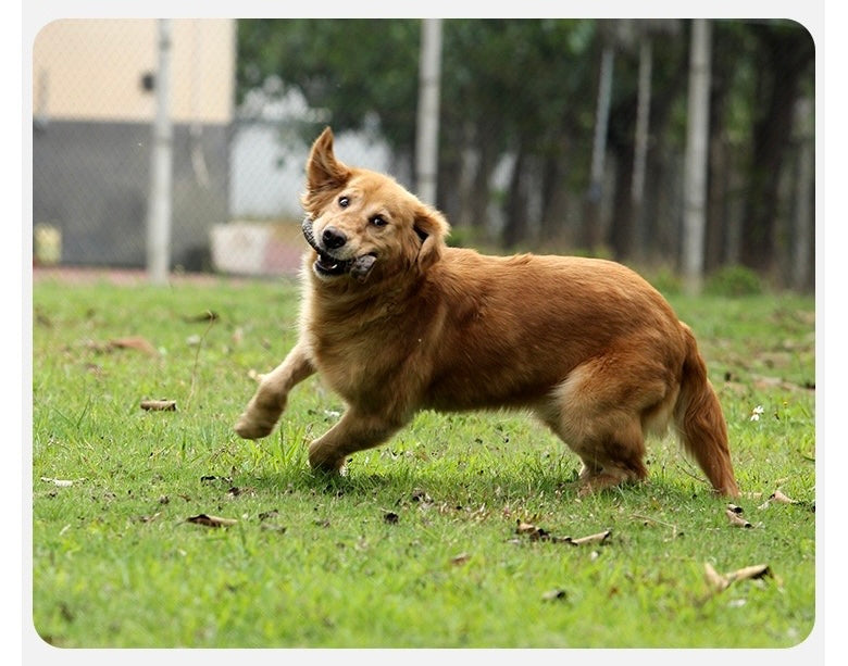Dogs Bite And Chew On Ox Horns To Grind Their Teeth For Chews Toys Bite Resistant Teeth Cleaning Dog Training Supplies
