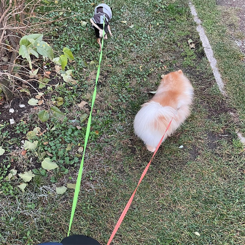 Dual Retractable Dog Leash with Flashlight & Poop Bag Dispenser | 360° No-Tangle Double Lead