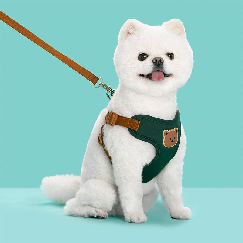 Puppy Harness with Leash Set, Dog Harness for Small Dogs No Pull, Dog Leash for Puupy, Step in Harness for Extra Small Dogs
