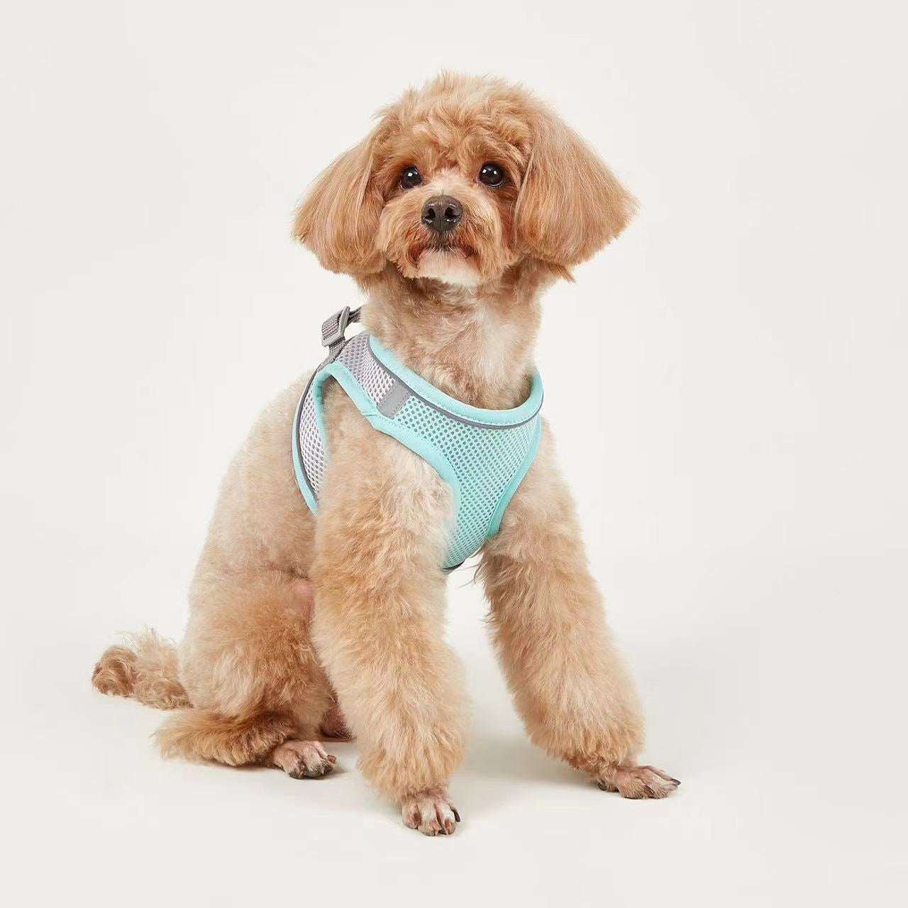 Breathable Small Dog Vest Harness and Leash Set – No-Choke, Escape-Proof Chest Strap for Puppies, Pomeranian, Bichon Frise, Teddy Poodle, and Small Breeds