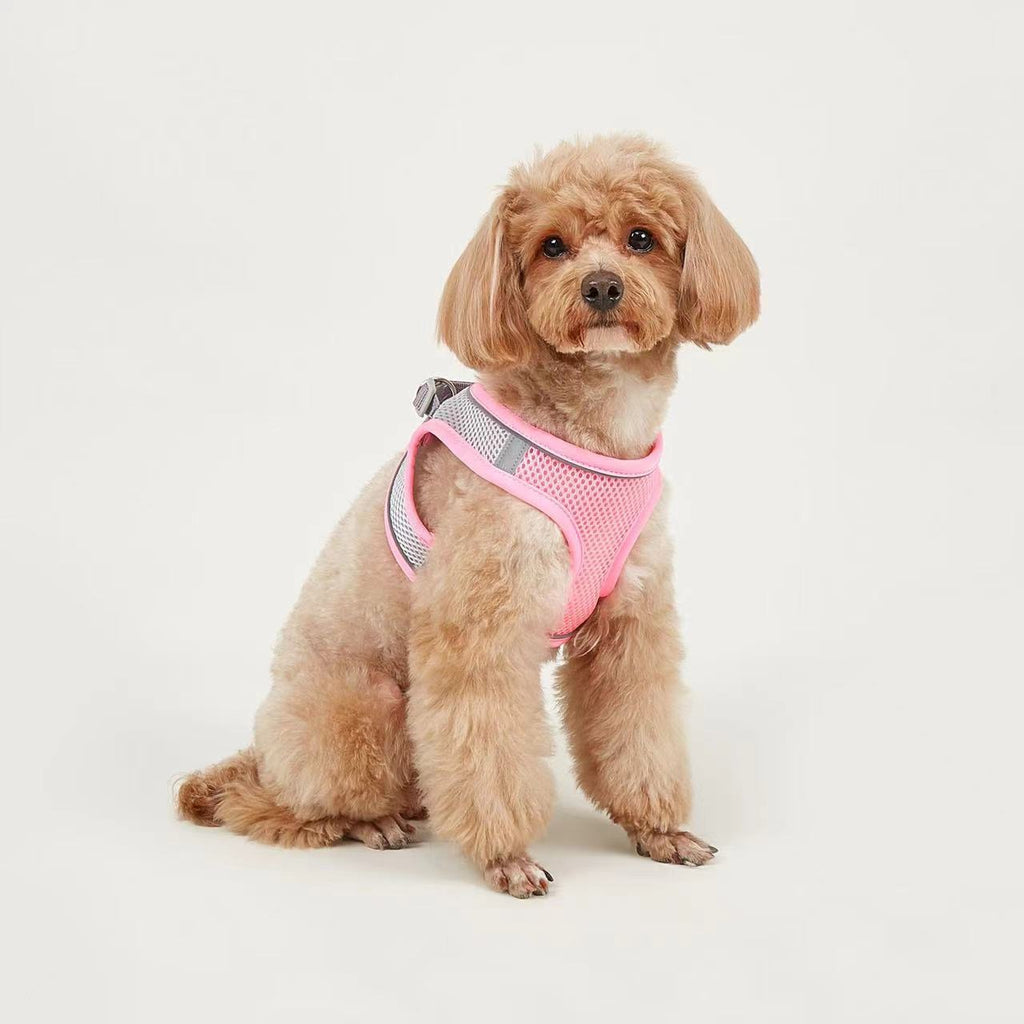 Breathable Small Dog Vest Harness and Leash Set – No-Choke, Escape-Proof Chest Strap for Puppies, Pomeranian, Bichon Frise, Teddy Poodle, and Small Breeds