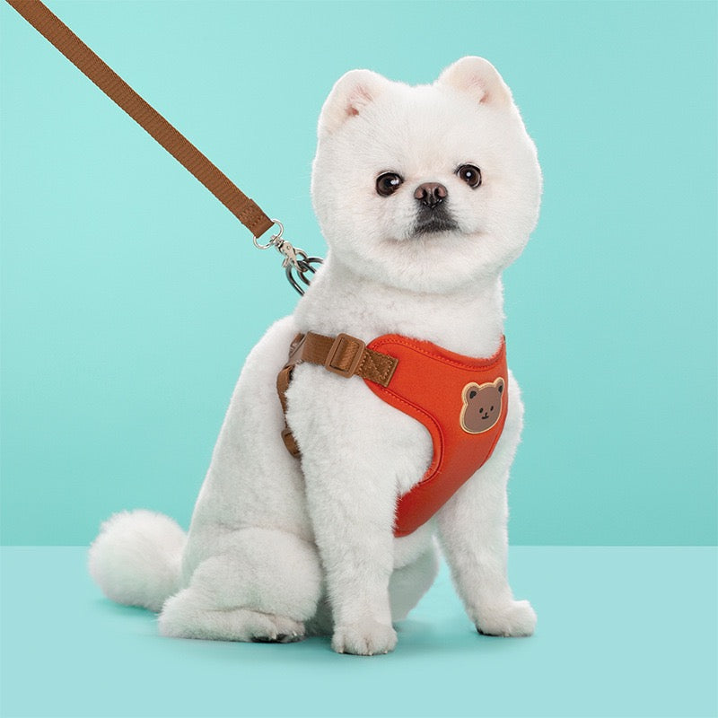 Puppy Harness with Leash Set, Dog Harness for Small Dogs No Pull, Dog Leash for Puupy, Step in Harness for Extra Small Dogs