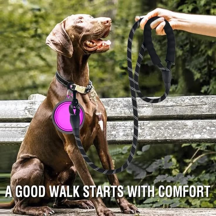 Taglory Rope Dog Leash 6 FT with Comfortable Padded Handle, Highly Reflective Threads Leash and Anti-Tangle Clip for Walking Medium Large Dogs