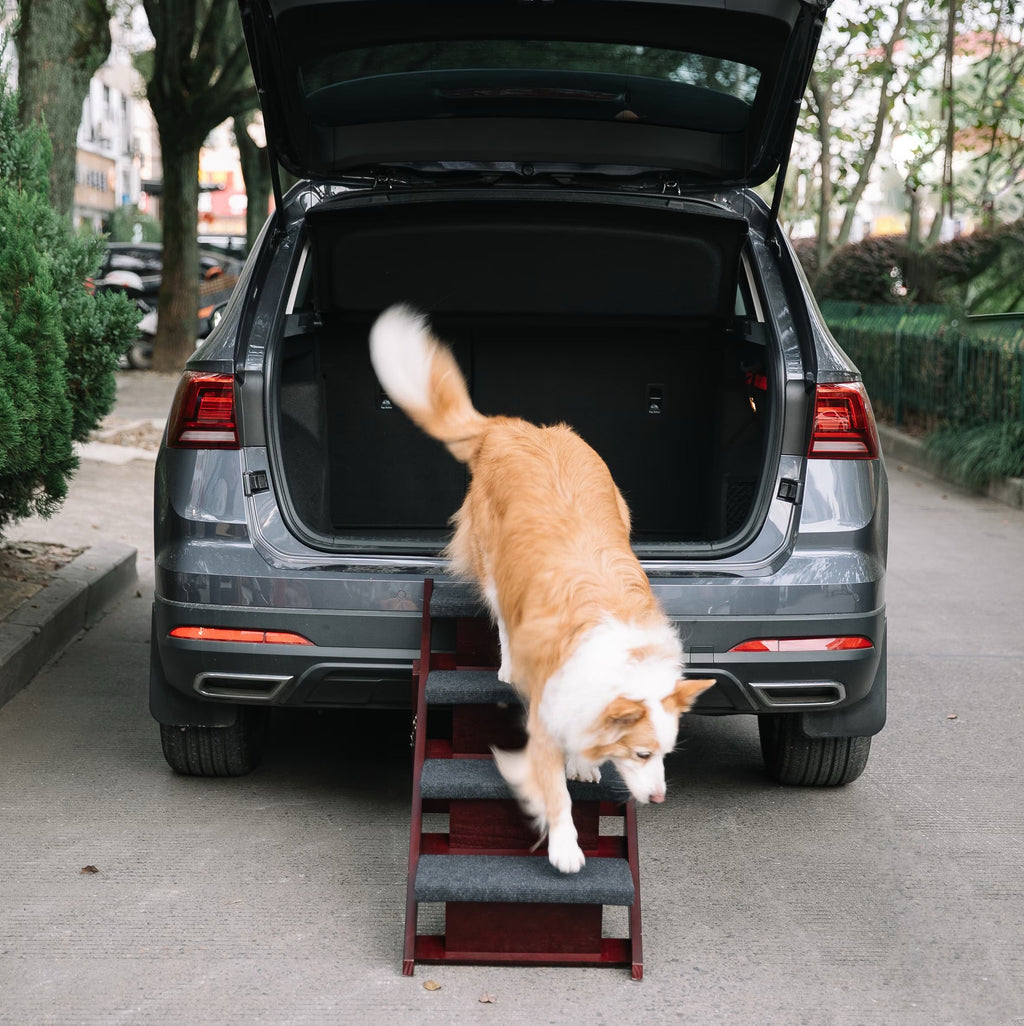 Wooden Dog Stairs Steps - Foldable 4 Levels Pet Stairs & Ramp Perfect For Beds And Cars - Portable Dog Cat Ladder Up To