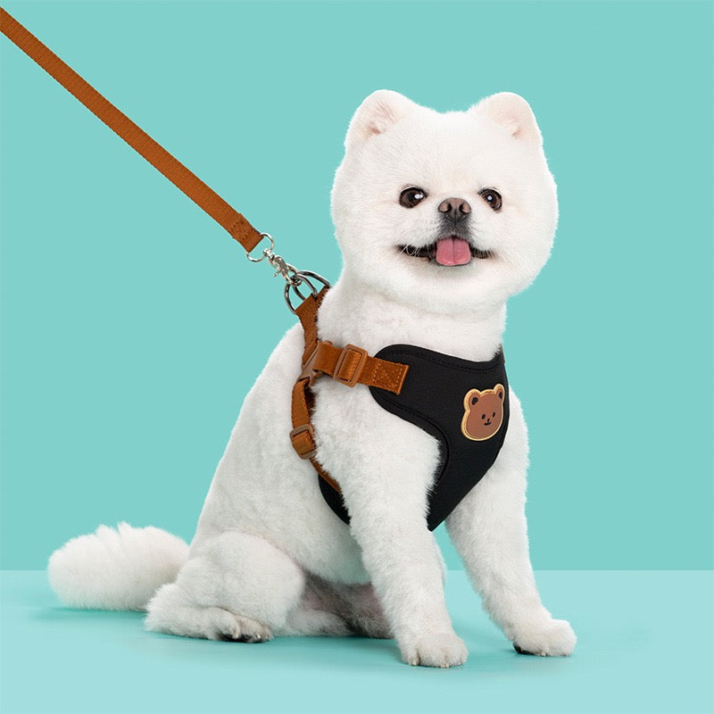 Puppy Harness with Leash Set, Dog Harness for Small Dogs No Pull, Dog Leash for Puupy, Step in Harness for Extra Small Dogs
