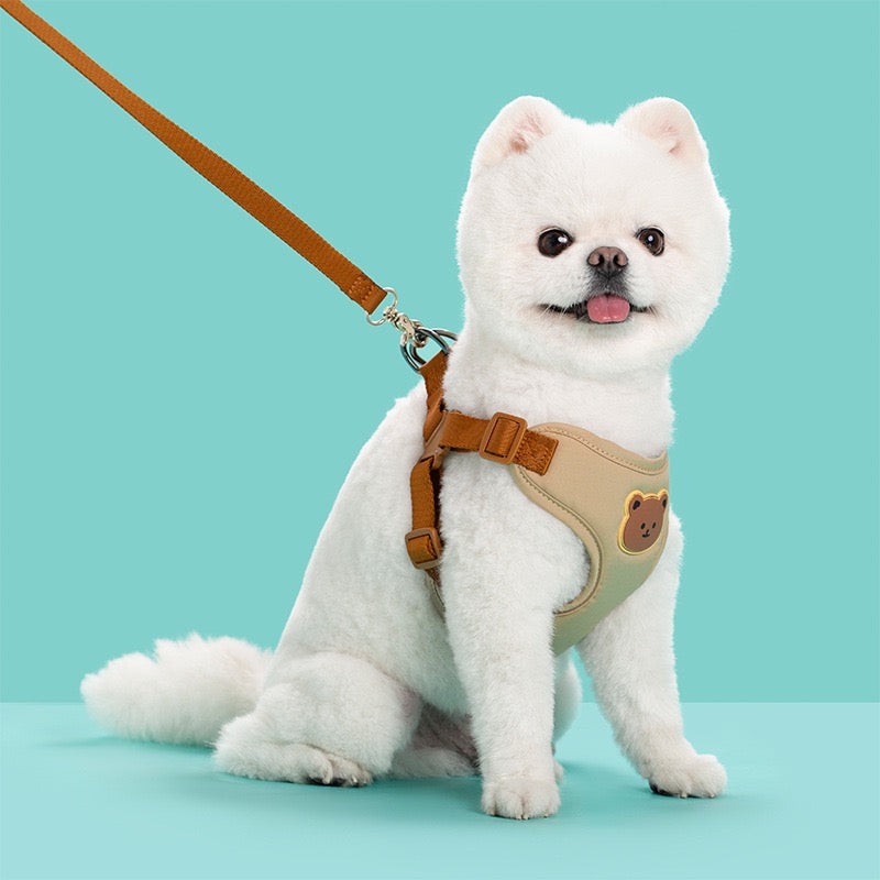 Puppy Harness with Leash Set, Dog Harness for Small Dogs No Pull, Dog Leash for Puupy, Step in Harness for Extra Small Dogs