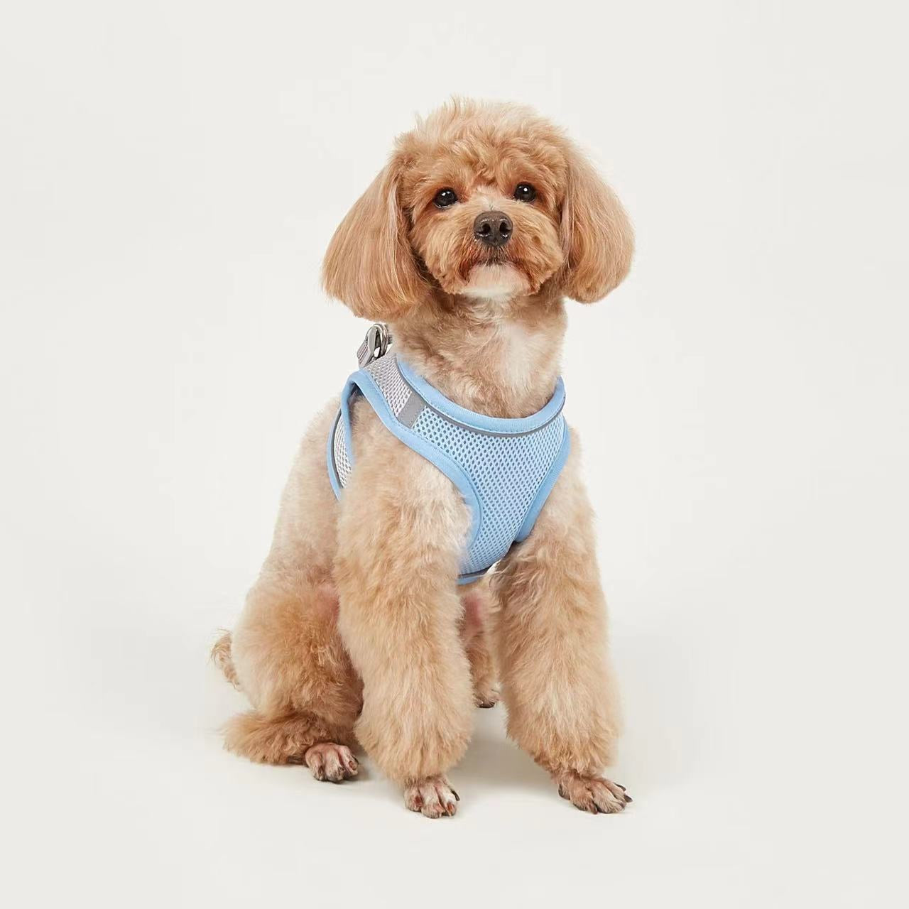 Breathable Small Dog Vest Harness and Leash Set – No-Choke, Escape-Proof Chest Strap for Puppies, Pomeranian, Bichon Frise, Teddy Poodle, and Small Breeds