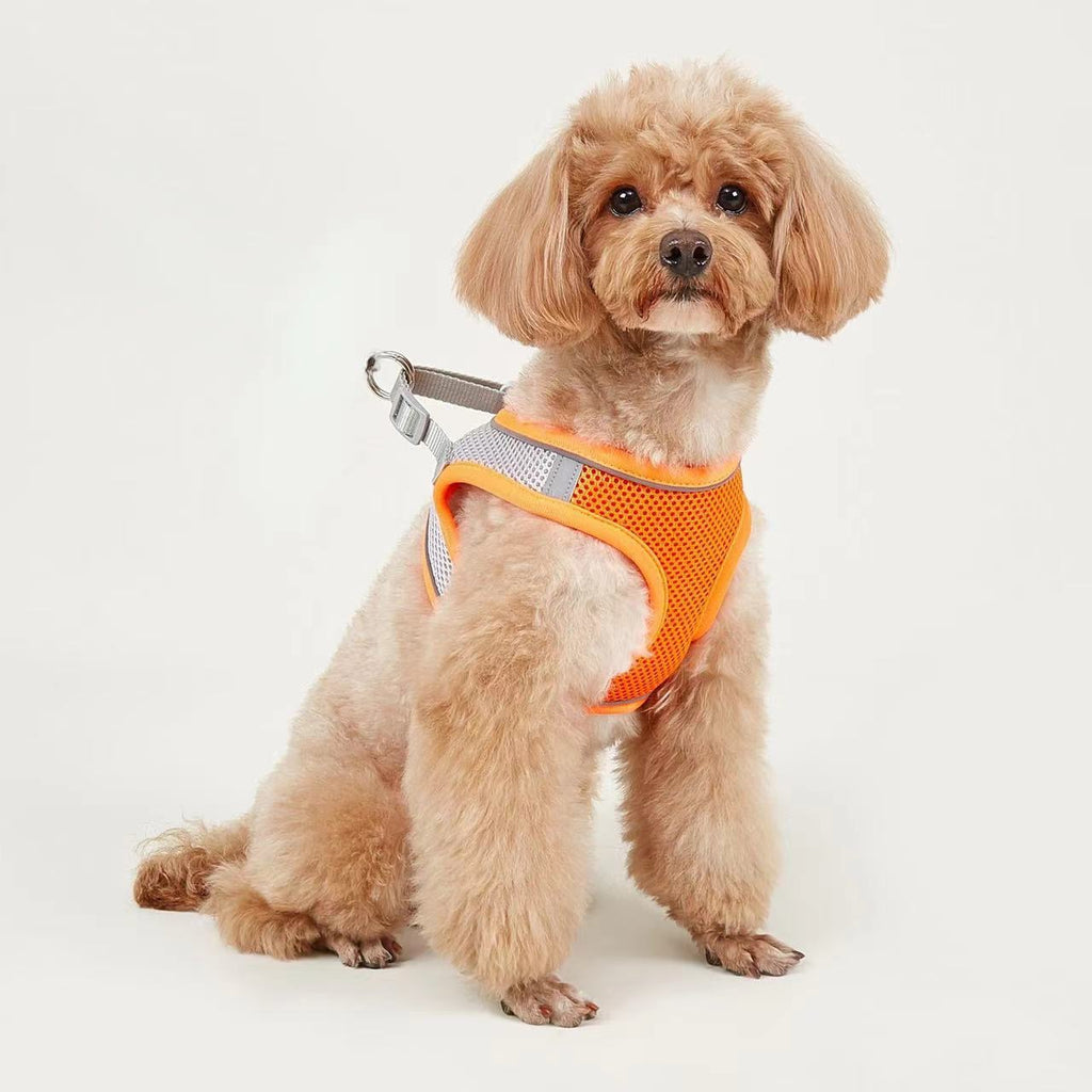 Breathable Small Dog Vest Harness and Leash Set – No-Choke, Escape-Proof Chest Strap for Puppies, Pomeranian, Bichon Frise, Teddy Poodle, and Small Breeds